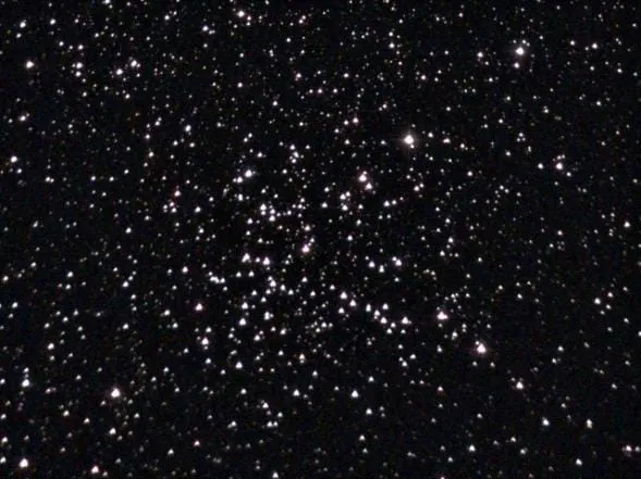 Starfish Cluster