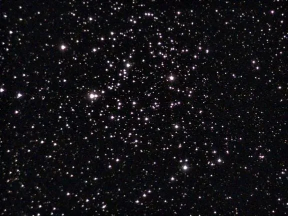 Shoe-Buckle Cluster