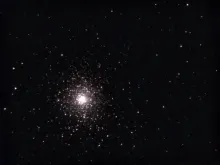 Rose Cluster