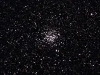 Wild Duck Cluster