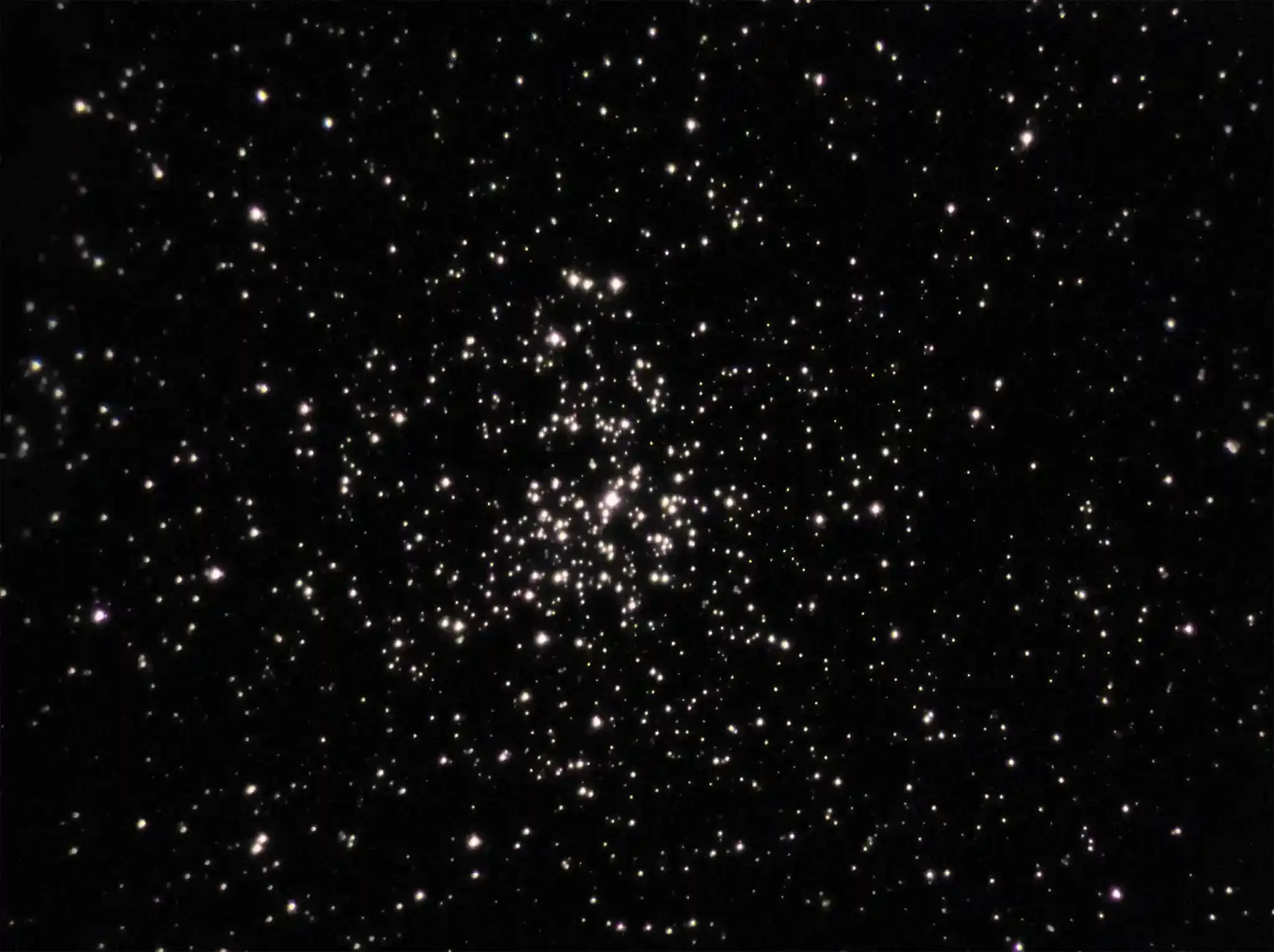 Salt and Pepper Cluster