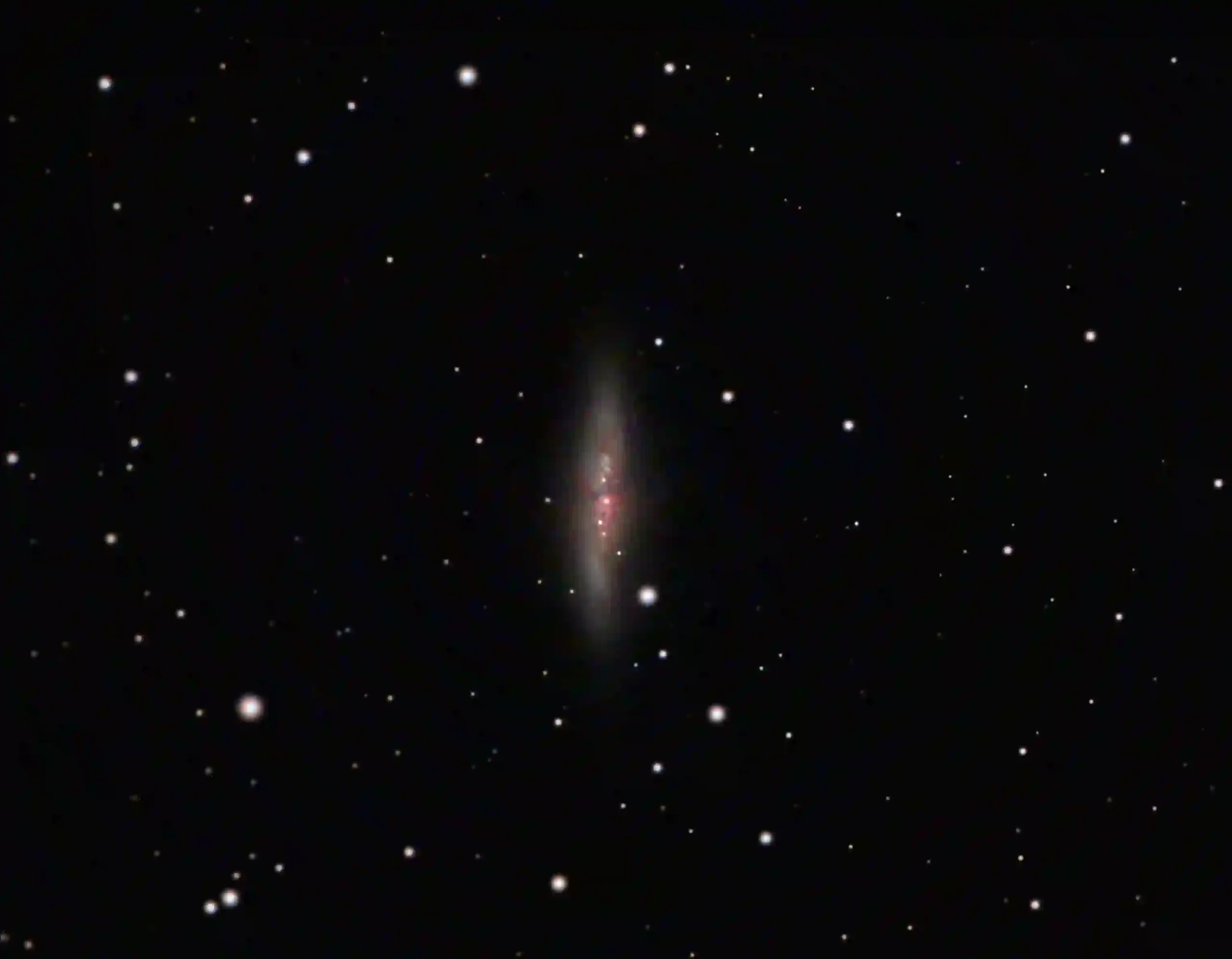 Cigar Galaxy