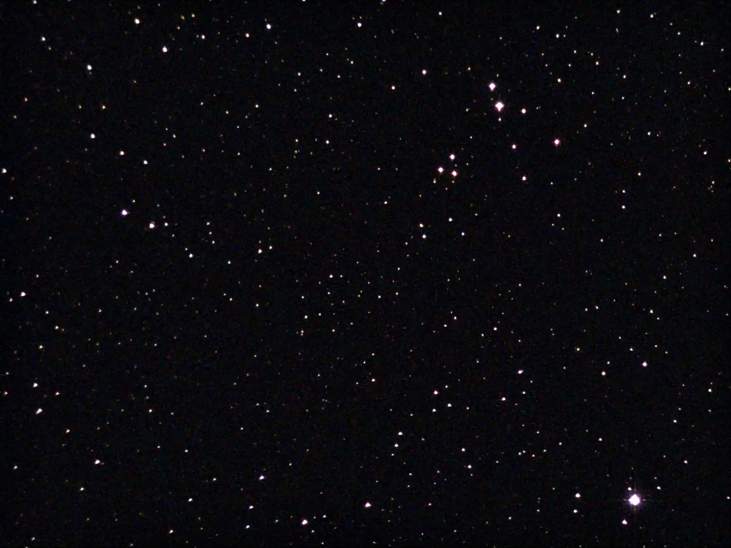 Owl Cluster