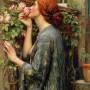waterhouse-rose.jpg