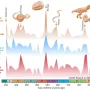extinctions.webp