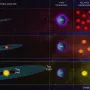 habitable-zone.webp
