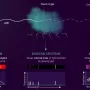 spectra.webp