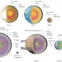 ss-planets-structure.webp