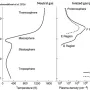 atmosphere-plasma.webp