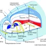 magnetosphere-currents.webp