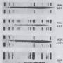 nebula-spectra.jpg
