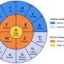 standard-model.webp