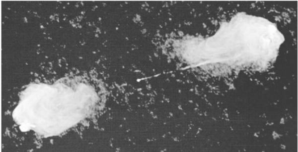  Fig3: A VLA radio image of Cygnus A, showing the two radio lobes separated by about
100$\rm h^{-1}$ kpc and the jet extending from the galaxy to the right-hand lobe. Cyg A is a narrow-line radio
galaxy.