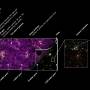 universe.jpg