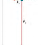 forcees.png