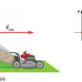 lawn.png