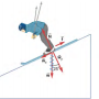 skier.png