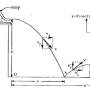 phy101l-1.jpg