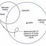 epicycles.jpg
