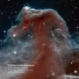 horsehead.webp